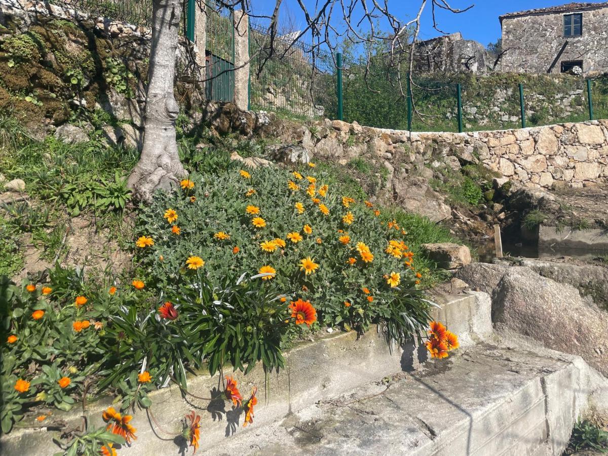 فيلا Quintinha De Pinouco ريزندي المظهر الخارجي الصورة