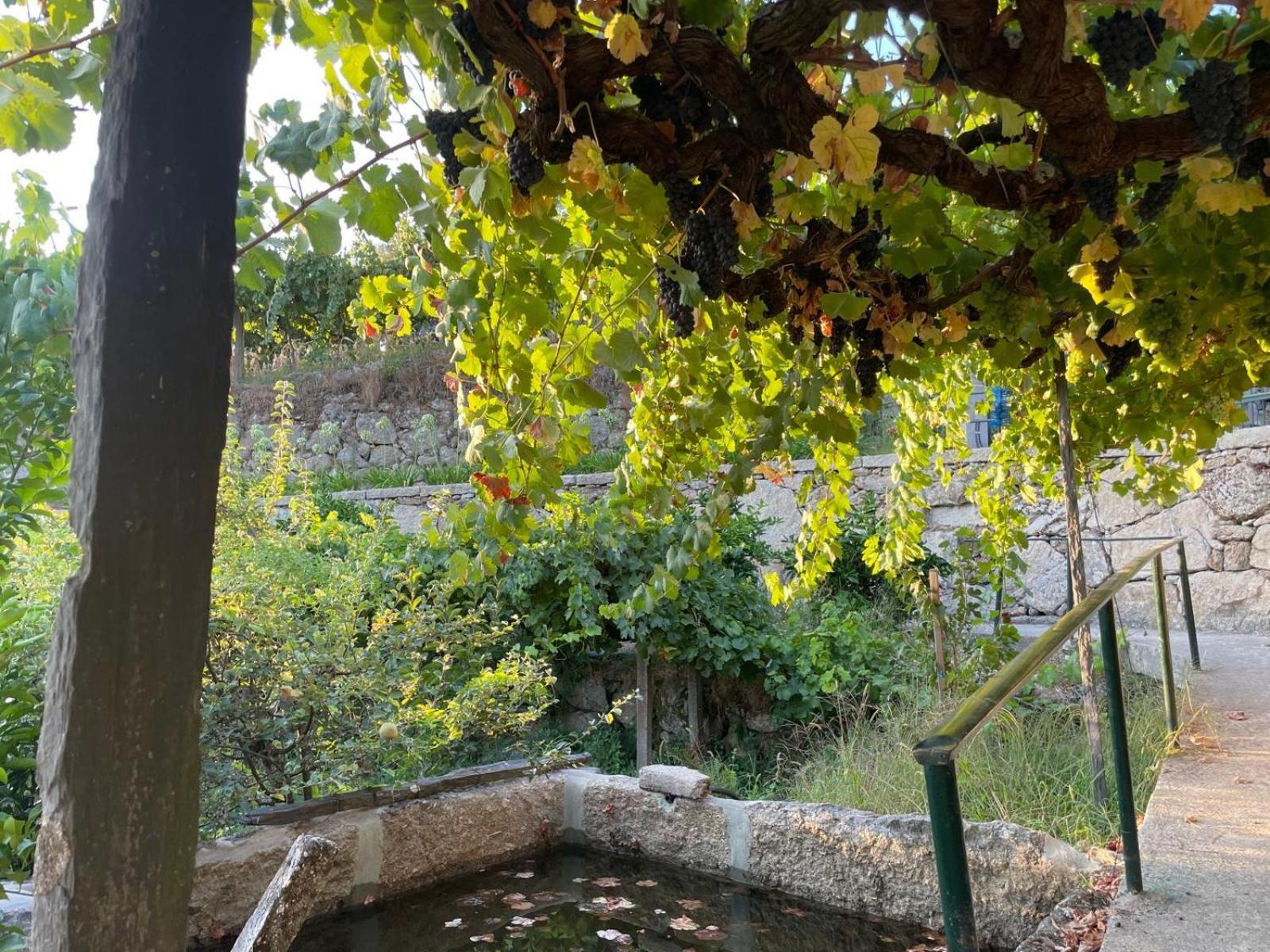 فيلا Quintinha De Pinouco ريزندي المظهر الخارجي الصورة